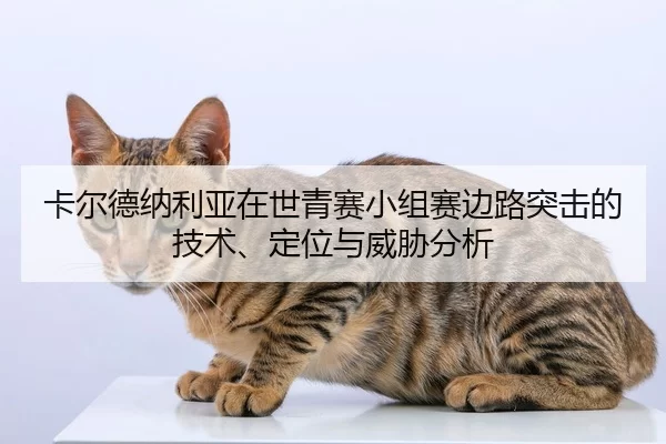 ka-er-de-na-li-ya-zai-shi-qing-sai-xiao-zu-sai-bian-lu-tu-ji-de-ji-shu-ding-wei-yu-wei-xie-fen-xi-2-586.jpg