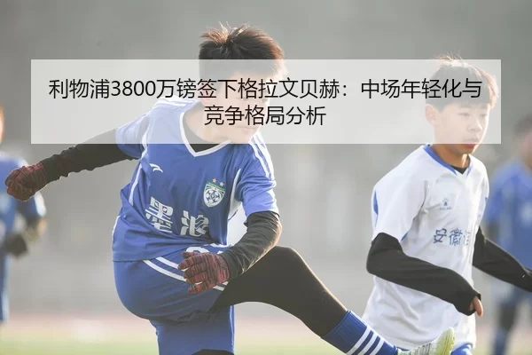 li-wu-pu-wan-bang-qian-xia-ge-la-wen-bei-he-zhong-chang-nian-qing-hua-yu-jing-zheng-ge-ju-fen-xi-3-293.jpg